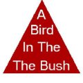 Bird in the bush triangle illusion thumb