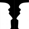 Candlestick or silhouettes illusion thumb