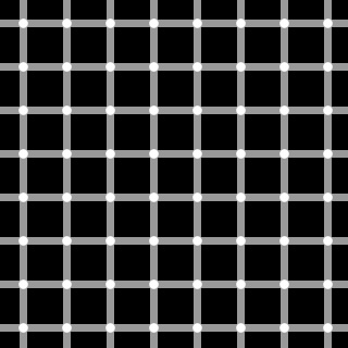Scintillating Grid Illusion
