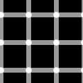 Scintillating Grid Illusion thumb