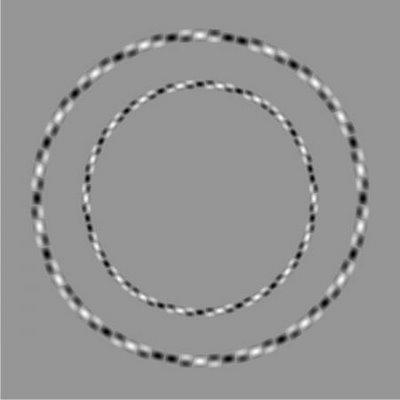 Striped Circles Illusion